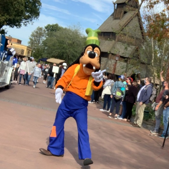 Meet your Posher, CharLee - Picture 8 of 10